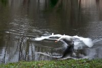 &quot;Skubu pas tave&quot; Vida Jankaitienė